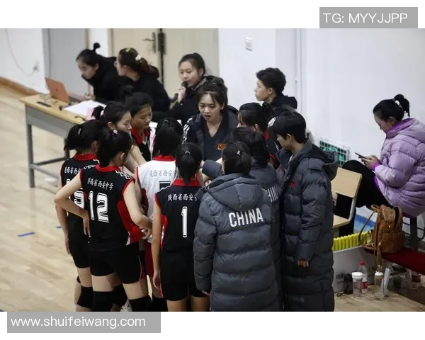 西安排球队运营全景解析：从战术到管理的深度剖析